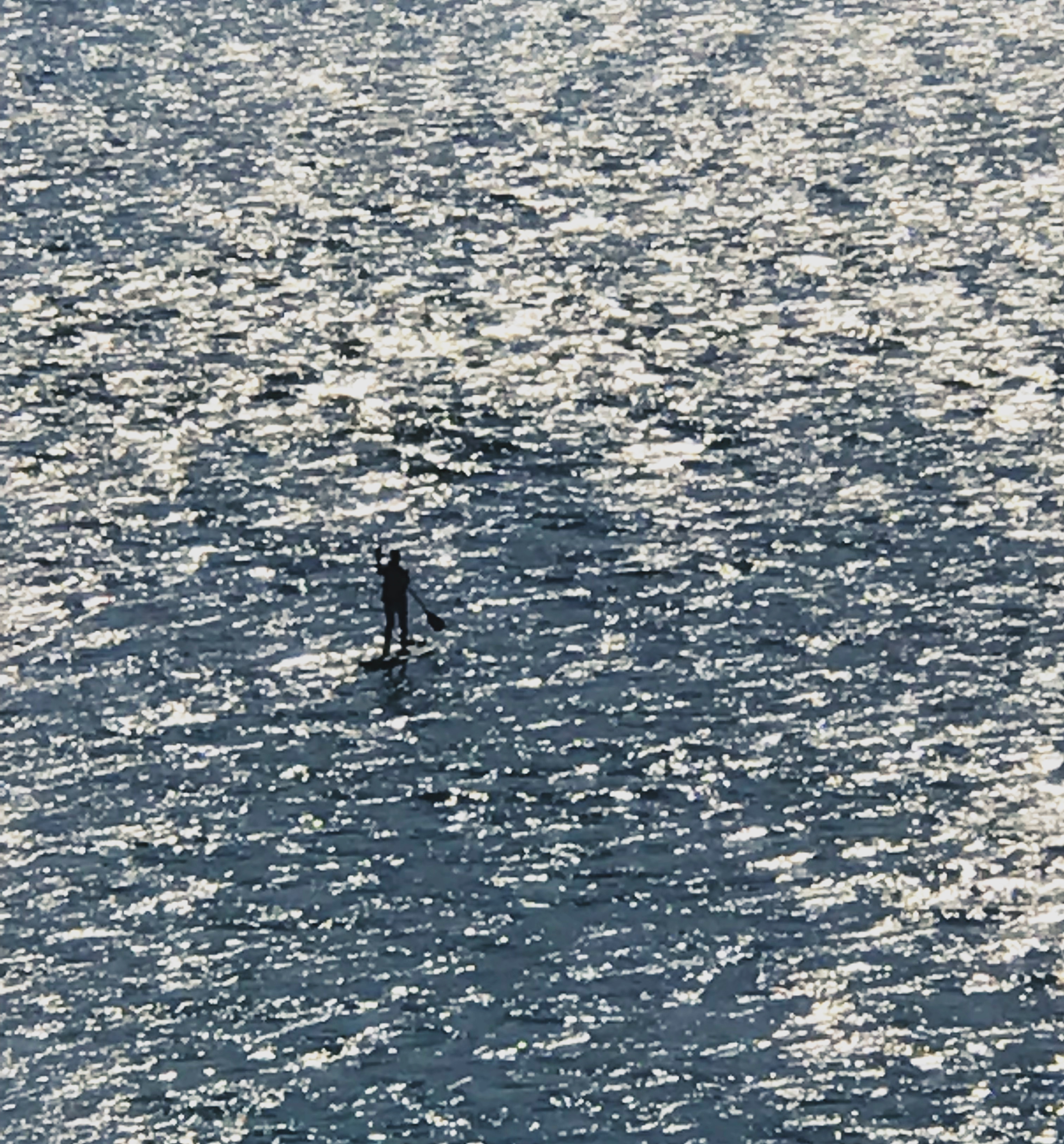 A paddleboarder above a glimmering river.